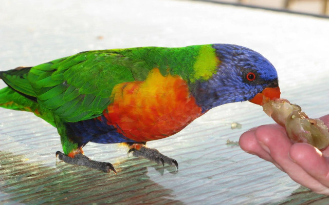 Baywatch Luxury Apartments