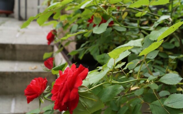 The Captaincy Guesthouse Brussels