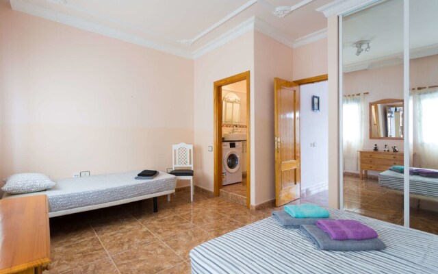 Live Arico Listada 3