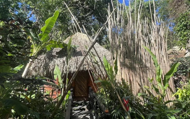 Sámana tropical