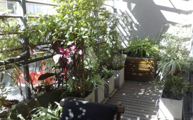 Asian Loft