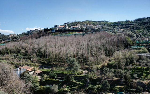 Agriturismo Oleum