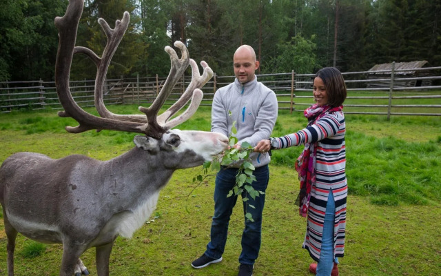 Ounasvaara Lakituvat chalets