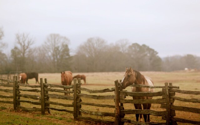 Seventy-four Ranch