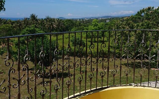 The Nest of Stray Birds
