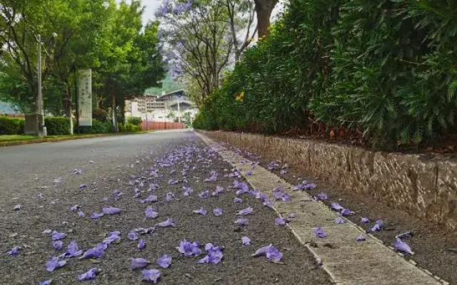 The Air garden hotel of Dali