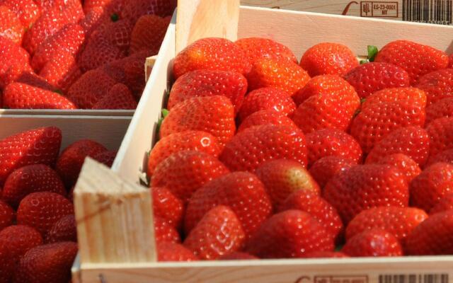 Spacious villa in St. Ambroix with private pool