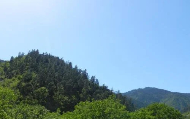 Zviad Guest House