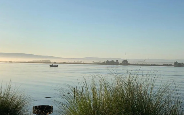 O Cantinho Entre a Ria e o Mar