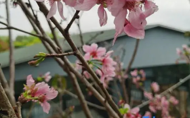 Taishan Yuhaixin homestay
