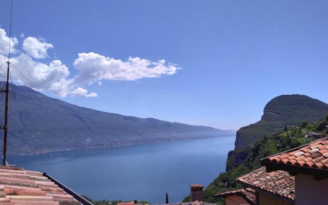 Ulivi Sul Garda Garden by Gardadomusmea