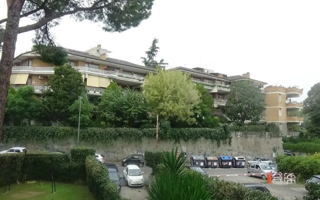 Il fenicottero rosa - Monteverde