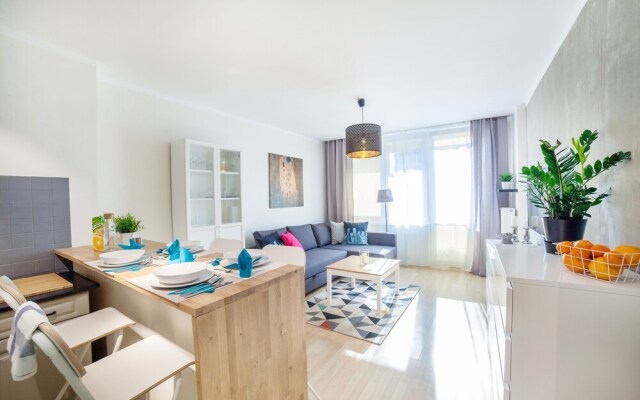 Little Home - Dexter 2