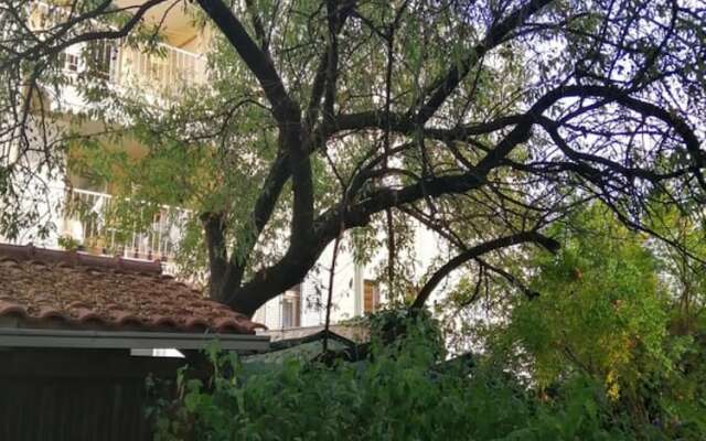 Charming Apartment Center Split Terrace & Parking