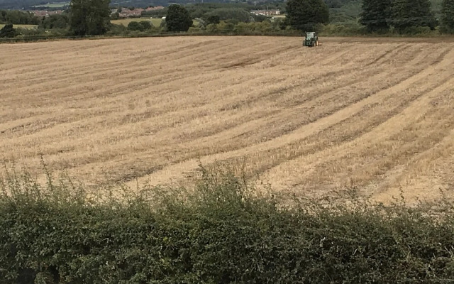 1 Twizell Lane