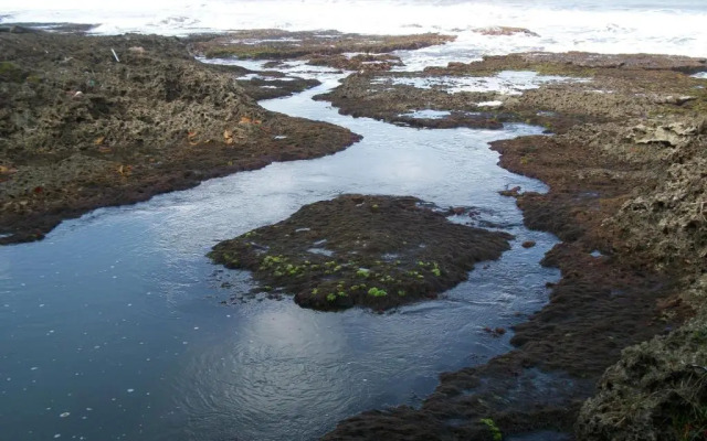 Piscina Natural on the Sea