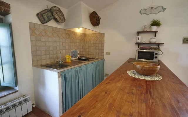 Appealing Apartment in Collesalvetti With Garden