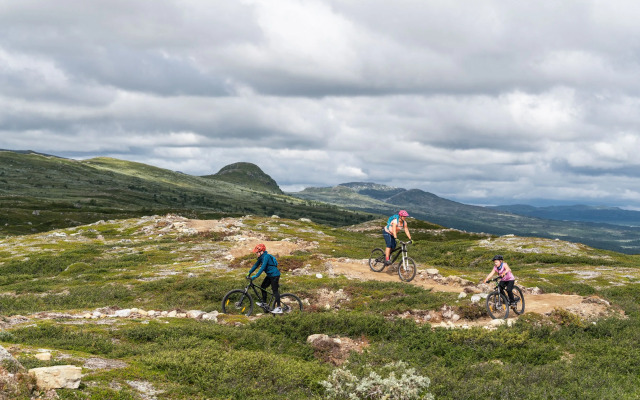 Ski Lodge Tänndalen
