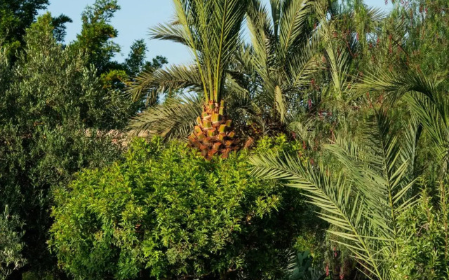 Terra Ababila Hotel