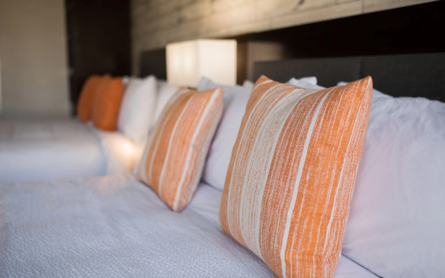The Fin Hotel, Tapestry Collection by Hilton