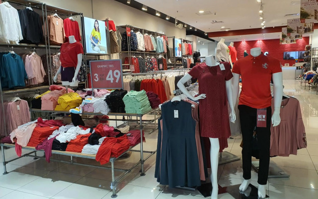 Leslie Jazz 2 New Vivacity Cozy Home