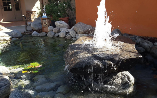 Dive Palm Springs