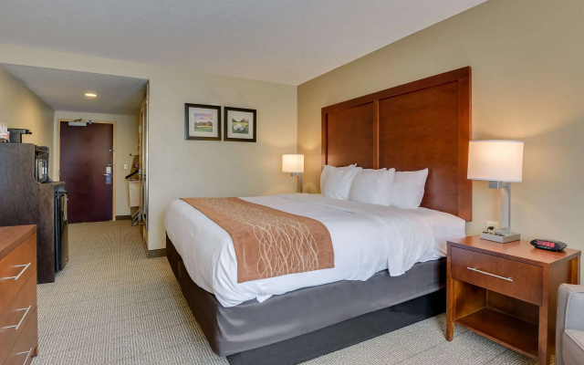 Comfort Inn & Suites Augusta Fort Gordon Area