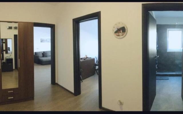 Vivamus Studio
