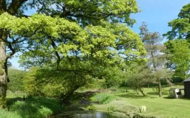 Rowrah Hall Bed & Breakfast