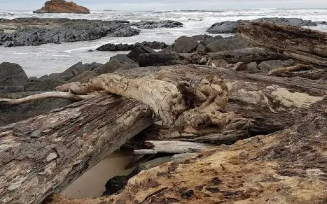 Arthur River Beach House