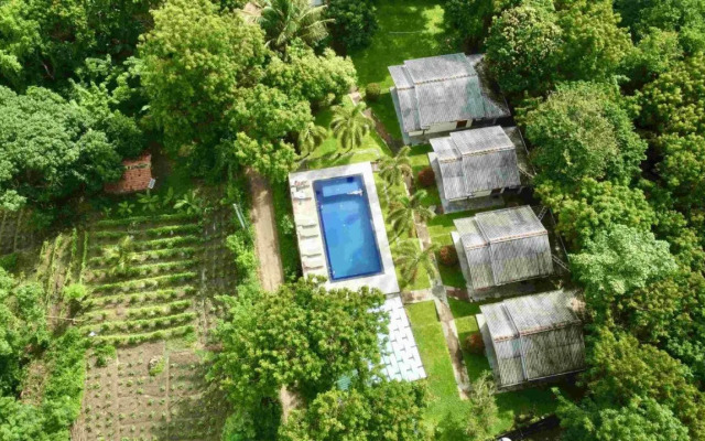 Jungle Paradise