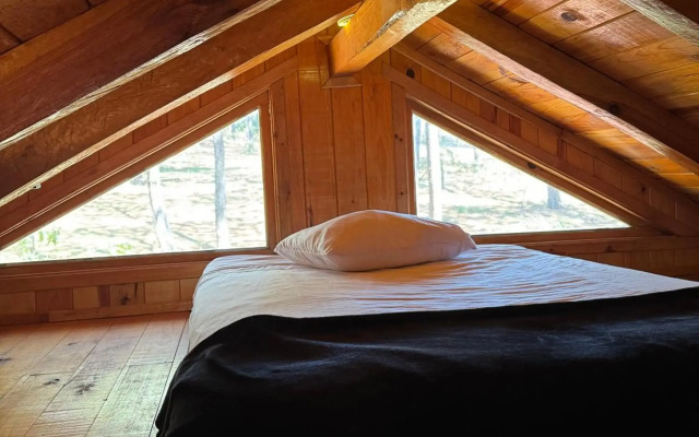 PINE TREE Hotel Boutique & Cabañas