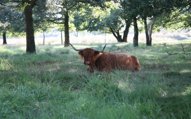 Detached Chalet With Dishwasher, in a Nature Reserve