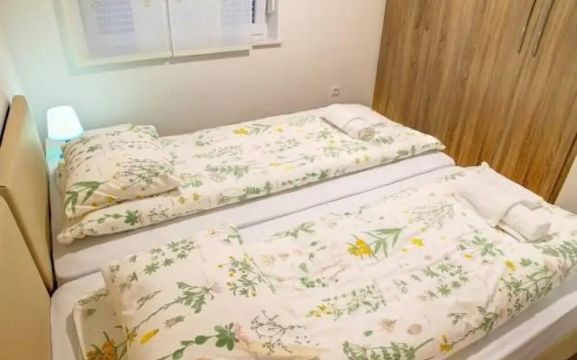 Apartment Vita