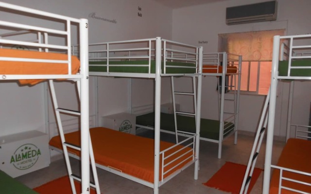 Alameda Hostel