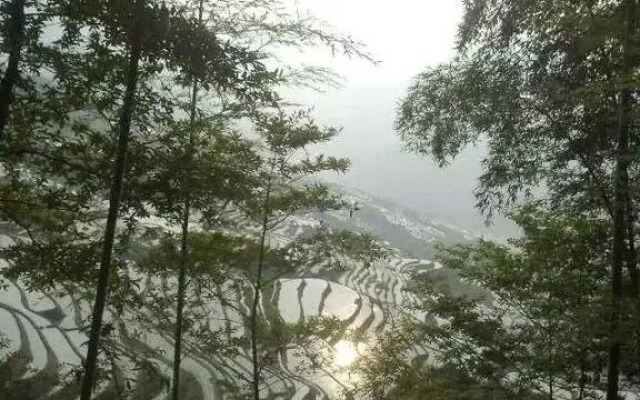 Yuanxiang Yayuan Inn