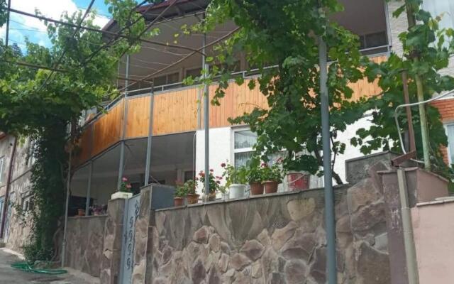 Guest house Lile