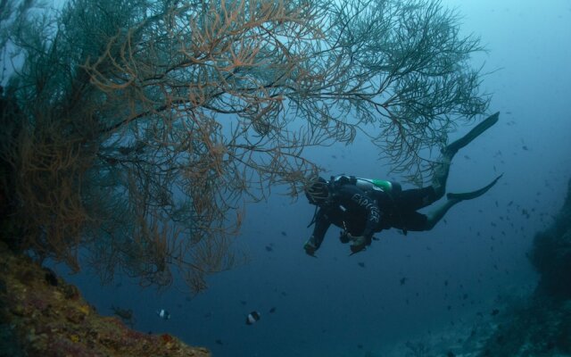 Kendhoo holidaysRavehimagu