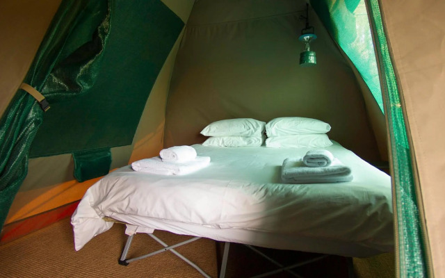 Old Mac Daddy - Campground
