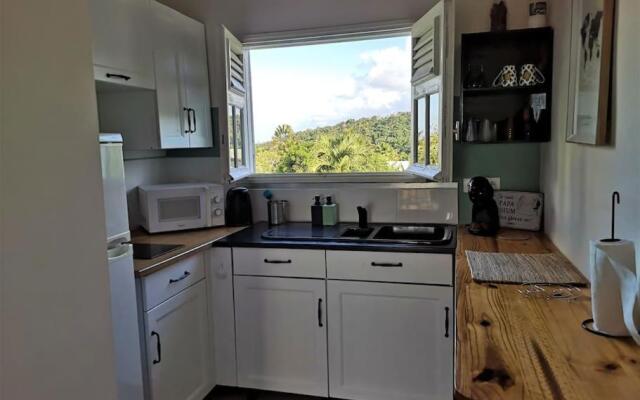 Appartement villa Oneway avec Piscine - 4 Pers