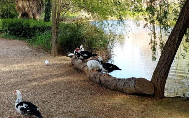 Appartement Six-Fours-les-Plages, 2 pièces, 5 personnes - FR-1-316-287