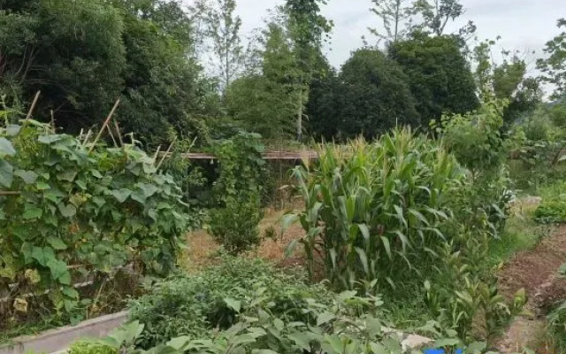Floral Hotel·Jiuhua Mountain Underbloom Homestay