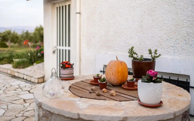 Petalidi Sunny Home One