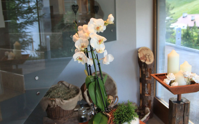 Wellnesshotel Engadin