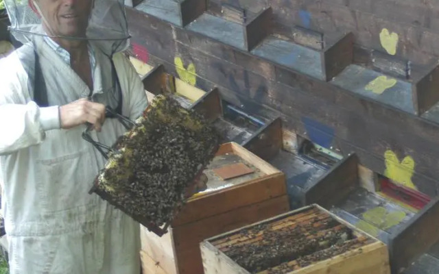 Ferienwohnung Rettenegger