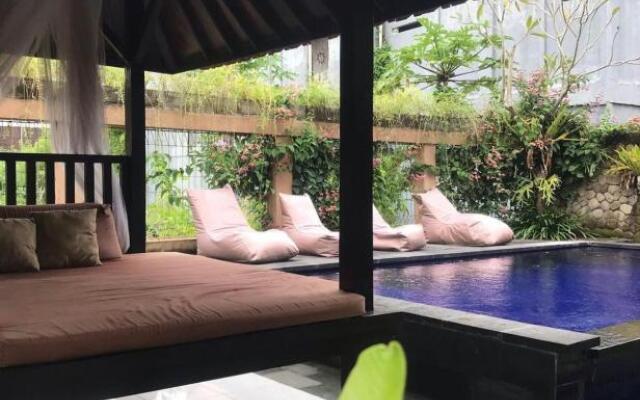 Leo home stay 2