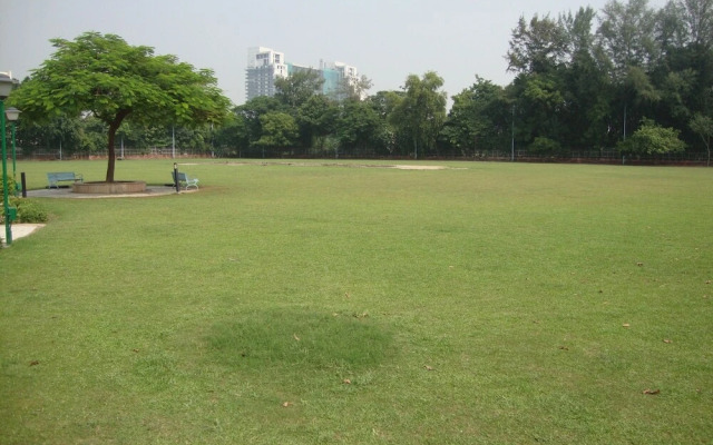 YMCA Greens