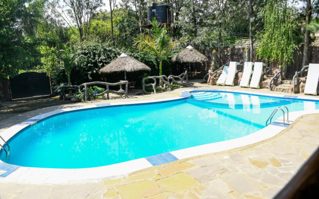 Dove Nest Lodge