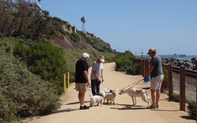 Best Western PLUS Casablanca Inn