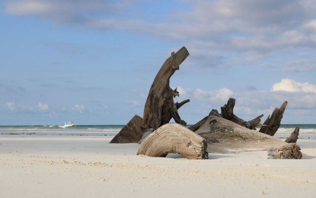 "room in Villa - A Wonderful Beach Property in Diani Beach Kenya.a Dream Holiday Place."